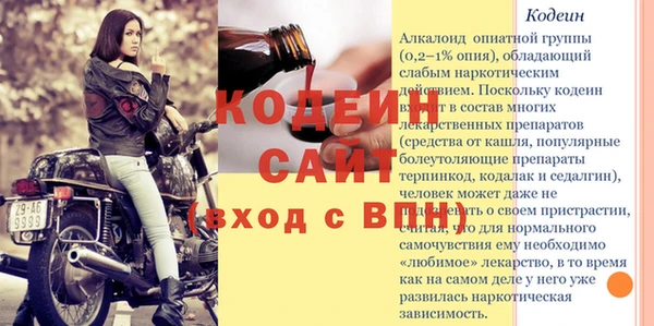 шишки Киренск