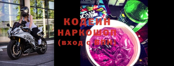шишки Киренск